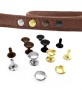 Solid brass single cap rivets 6 7 9 mm cap diameter Studs Leather craft rapid